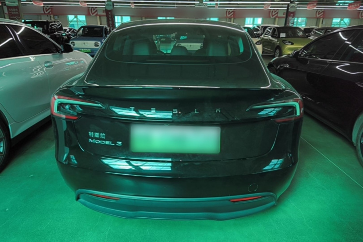 Tesla Model 3 2024 #6 Tesla Model 3 2024 car image #6