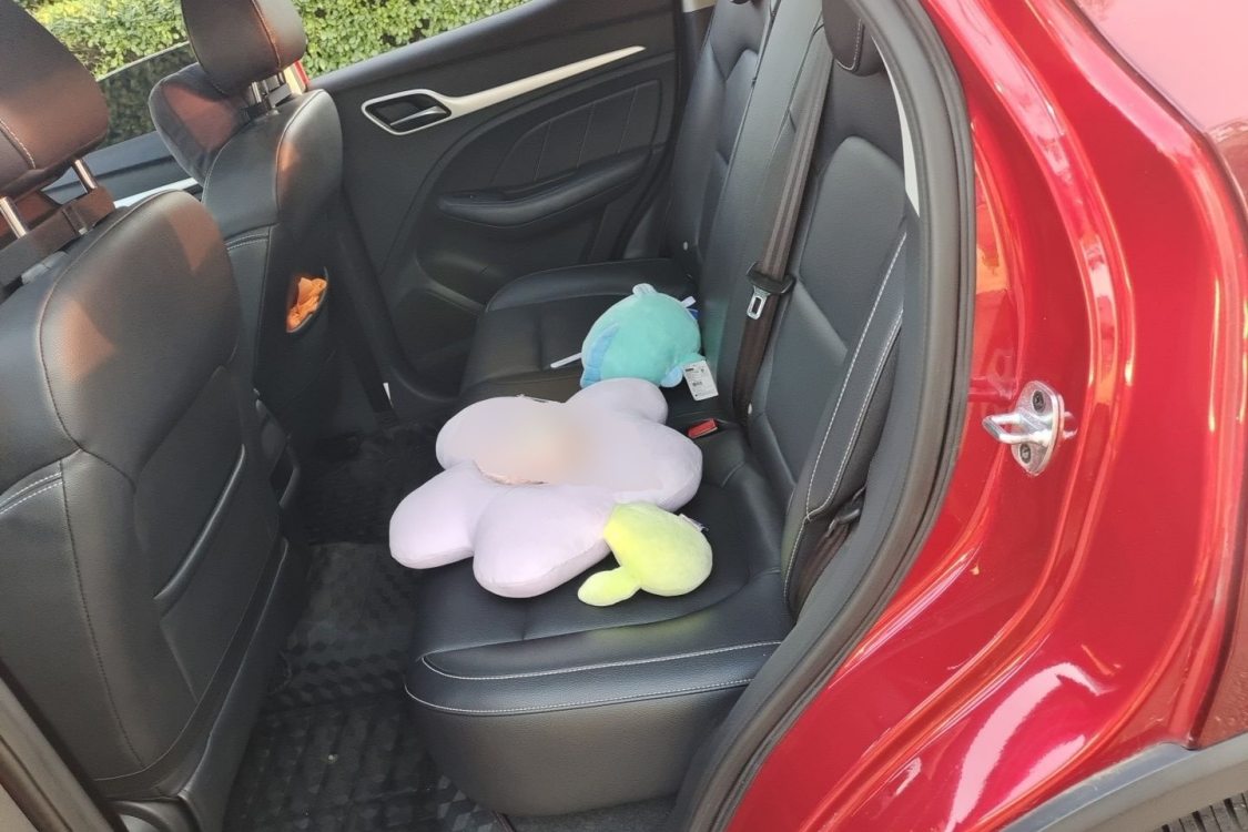 MG ZS 2018 car image #19
