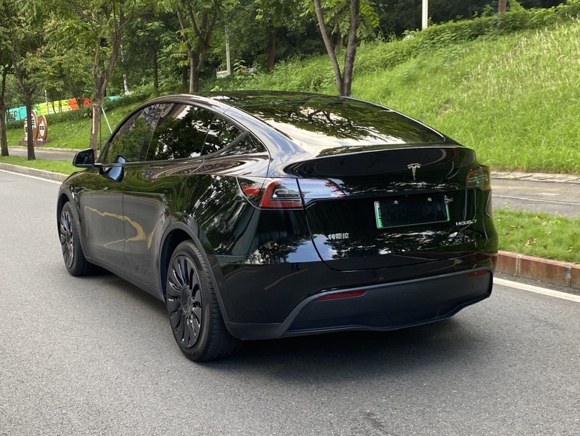 Tesla Model Y 2023 car image #6