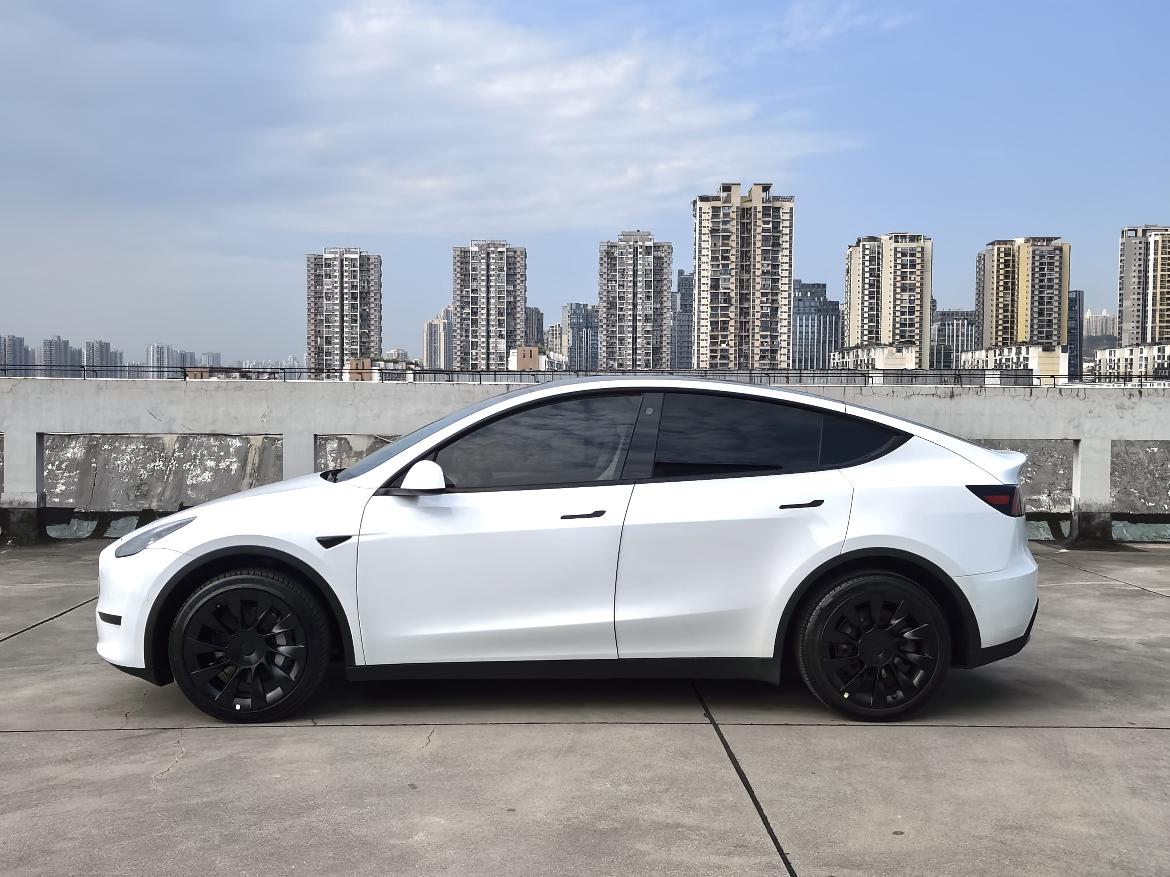 Tesla Model Y 2023 car image #5