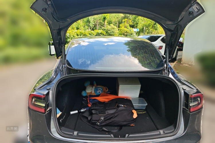 Tesla Model 3 2020 car image #21