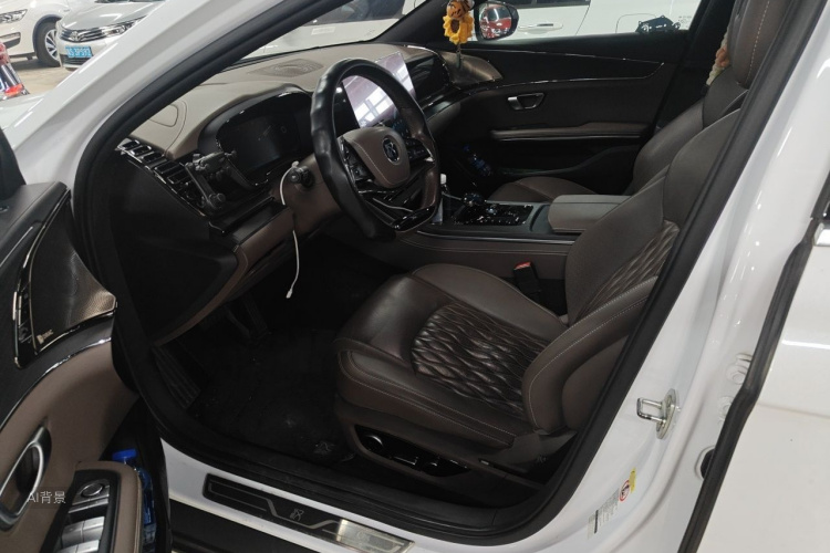 BYD Han 2020 immagine di auto #18