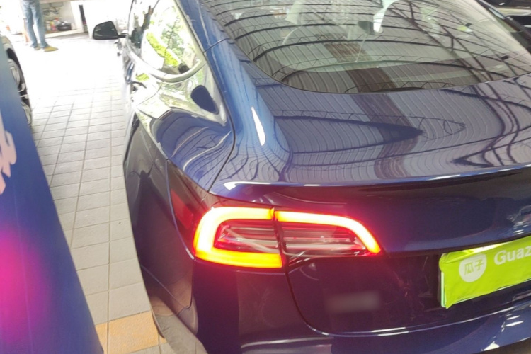 Tesla Model 3 2021 #5 Tesla Model 3 2021 car image #5
