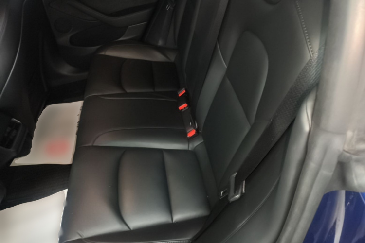Tesla Model 3 2021 car image #17
