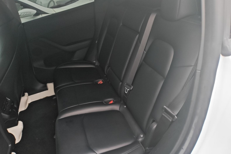 Tesla Model Y 2024 car image #17