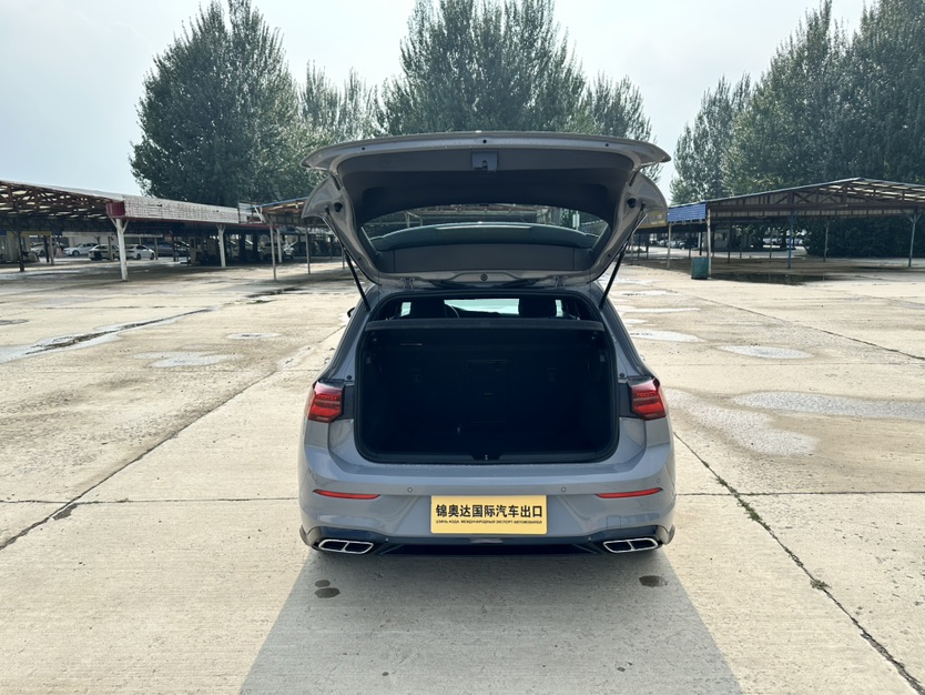 Volkswagen Golf 2022 immagine di auto #23