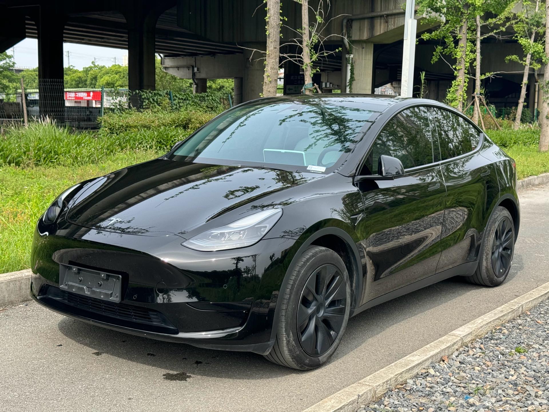 Tesla Model Y 2023 Tesla Model Y 2023 car image