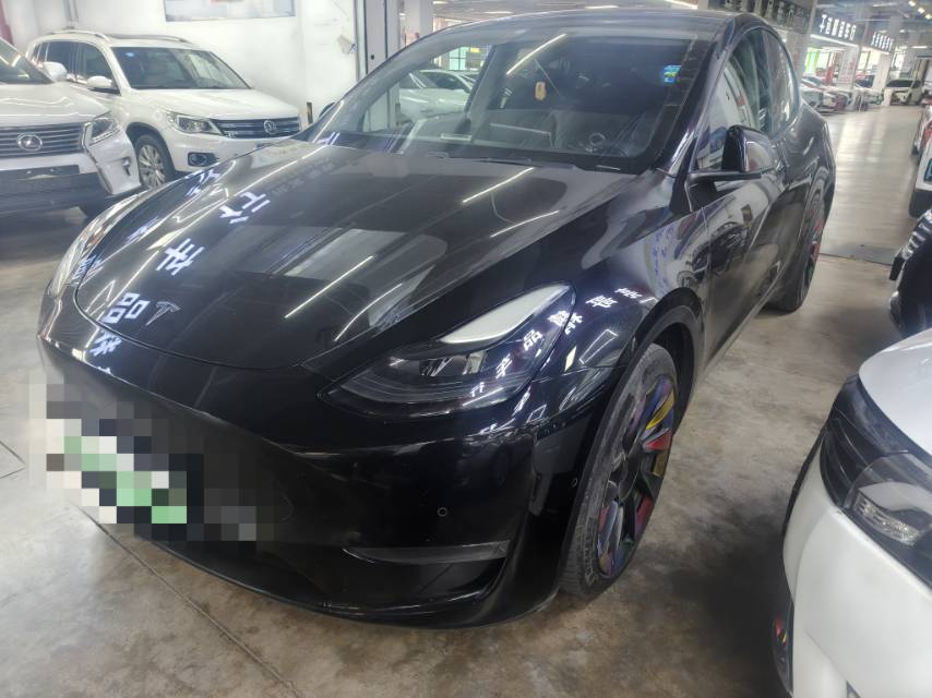 Tesla Model Y 2021 Tesla Model Y 2021 car image