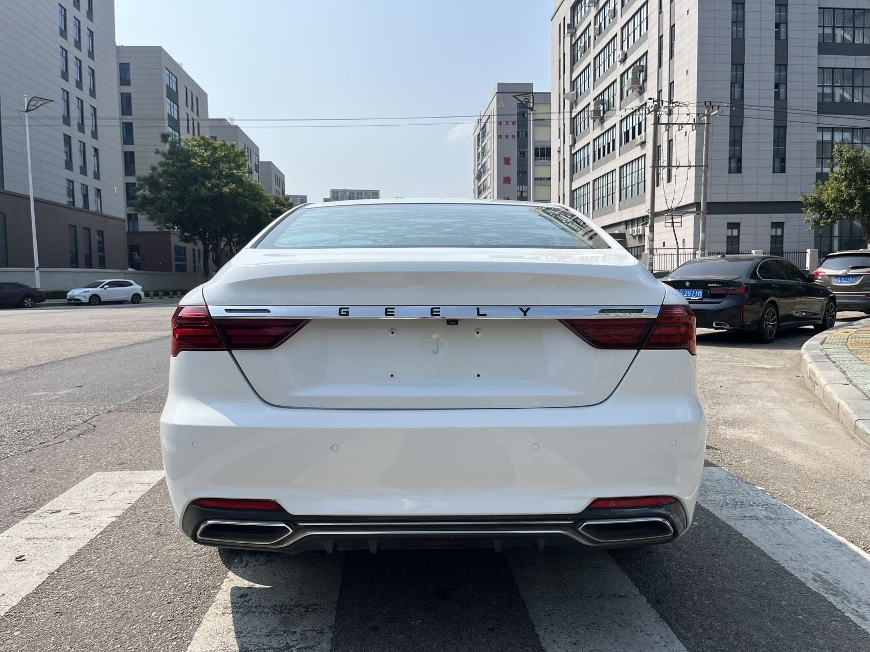GEELY Binray 2020 #5 GEELY Binray 2020 immagine di auto #5