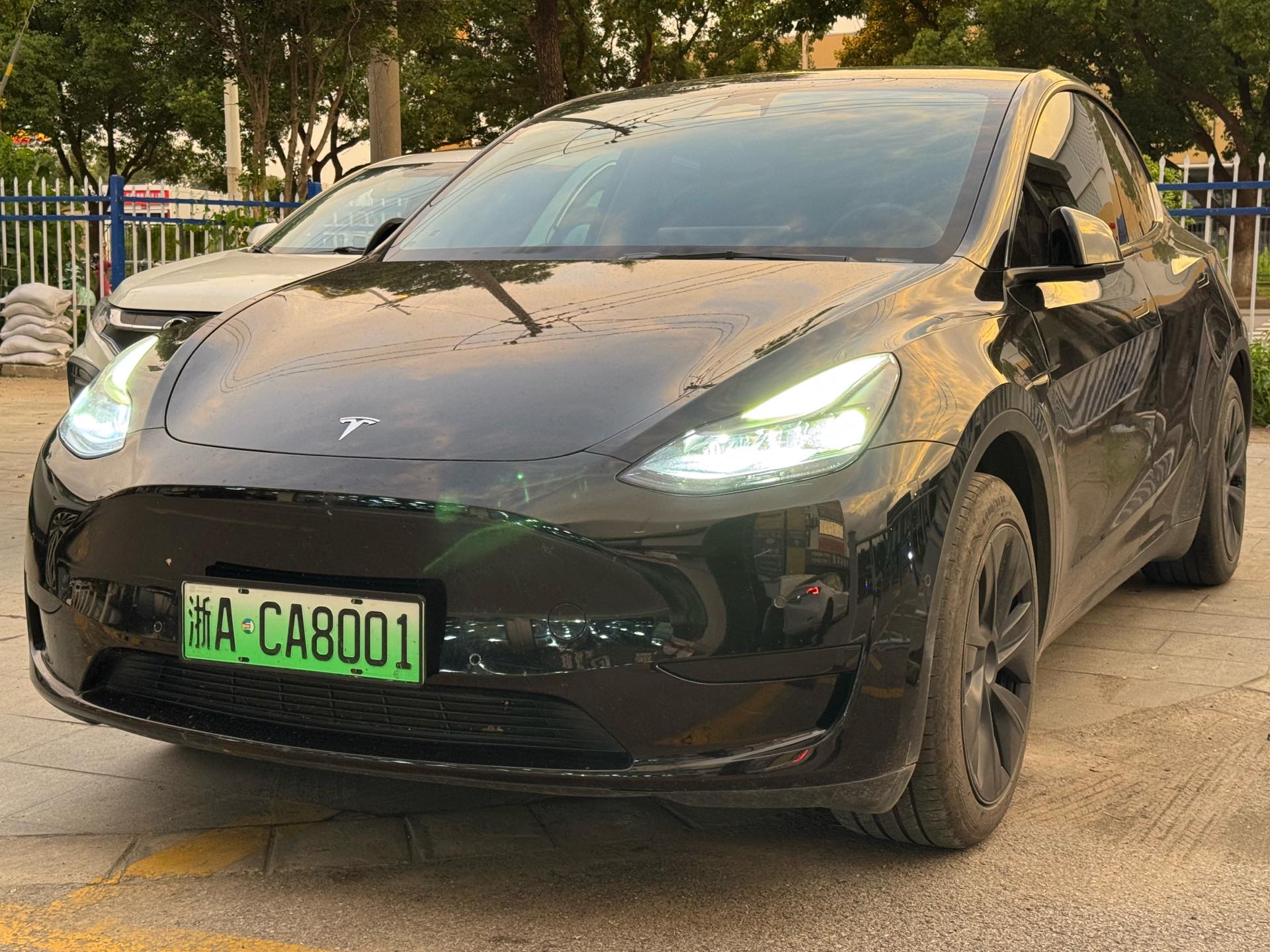 Tesla Model Y 2024 Tesla Model Y 2024 car image