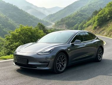 Tesla Model 3 2020 Tesla Model 3 2020 car image