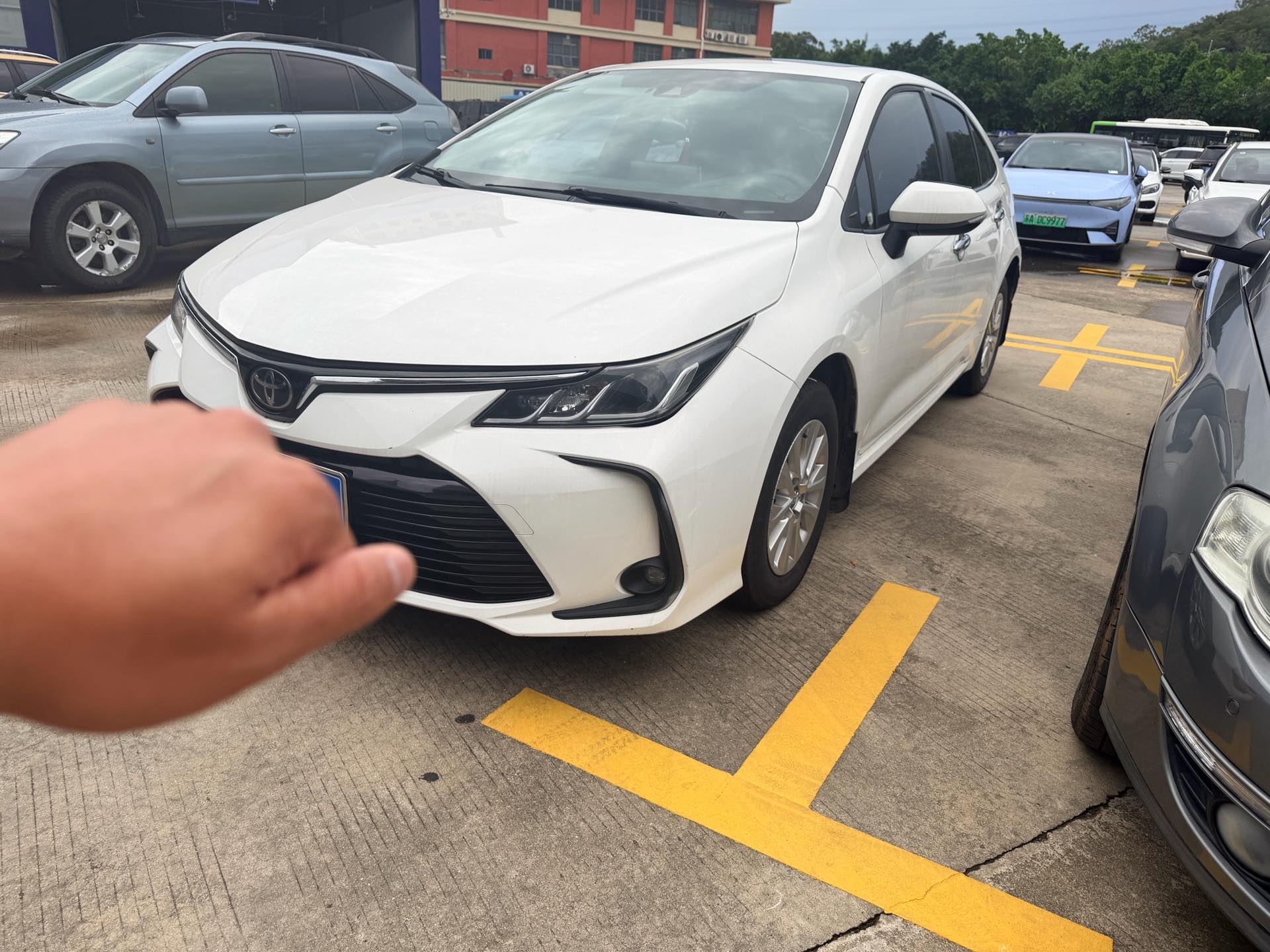 Toyota Corolla 2022 car image 
