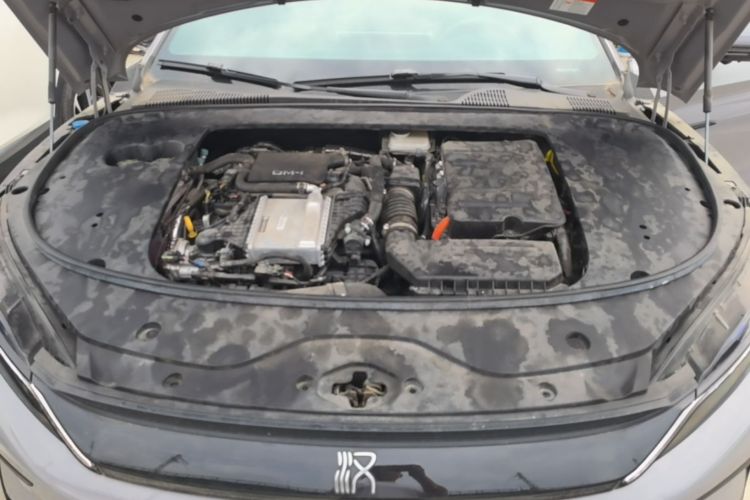 BYD Han 2024 car image #20