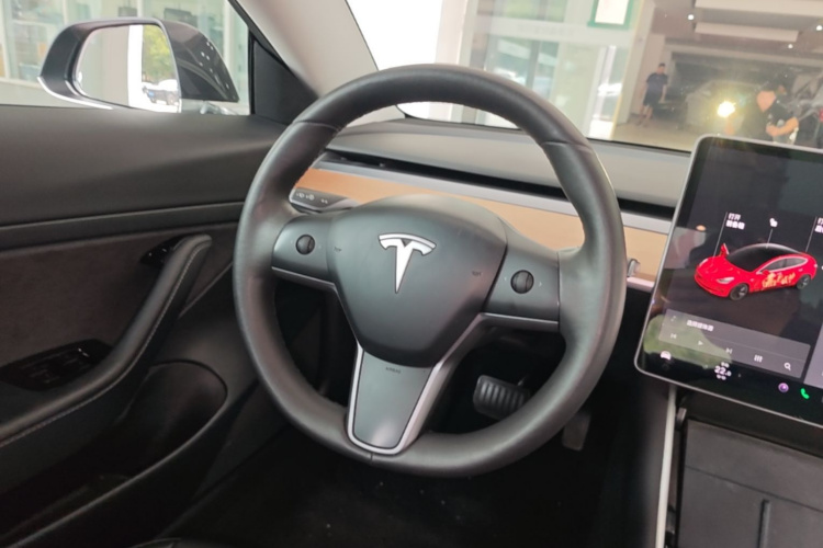 Tesla Model 3 2020 car image #11