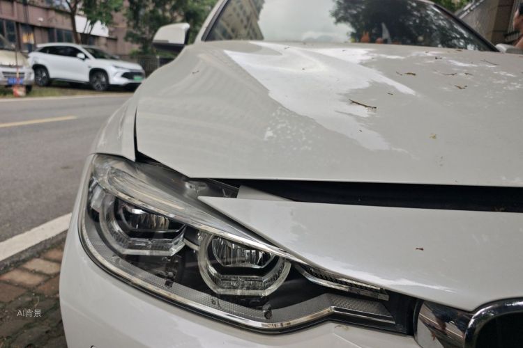 BMW 3 Series 2015 car image #8