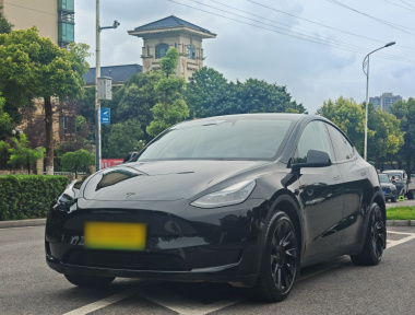 Tesla Model Y 2023 Tesla Model Y 2023 car image