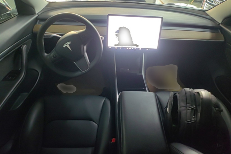 Tesla Model 3 2020 car image #11