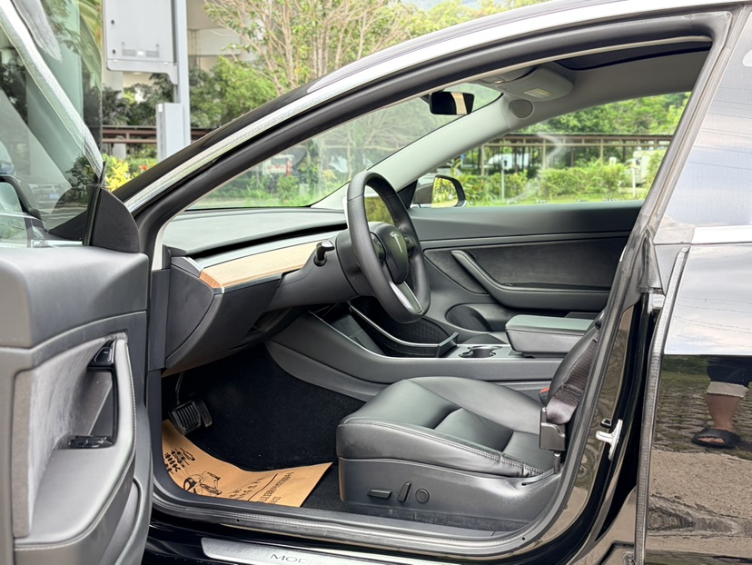 Tesla Model 3 2020 car image #6