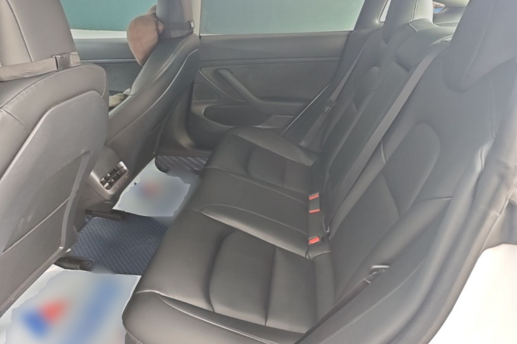 Tesla Model 3 2020 #17 Tesla Model 3 2020 car image #17