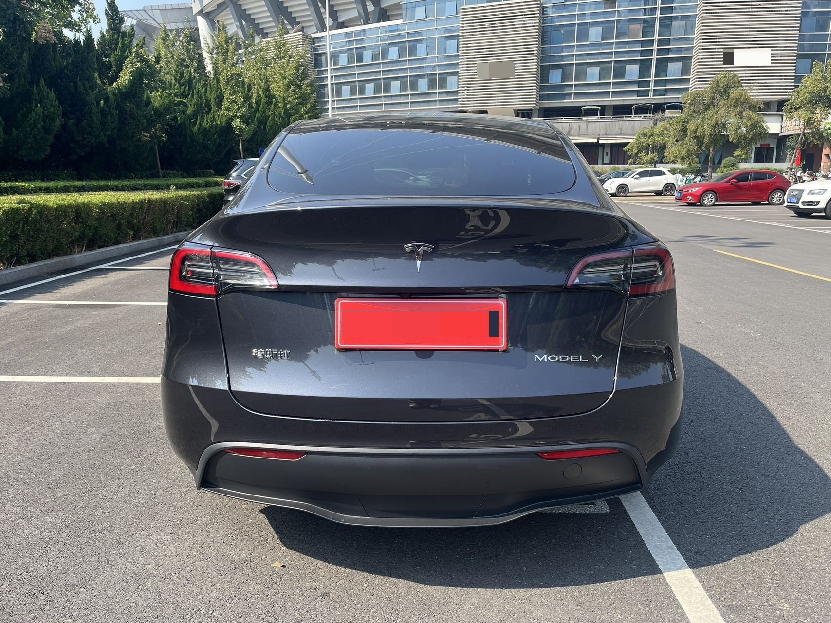 Tesla Model Y 2024 #8 Tesla Model Y 2024 car image #8