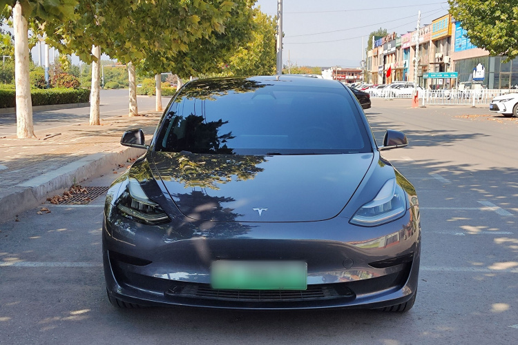 Tesla Model 3 2020 car image #3