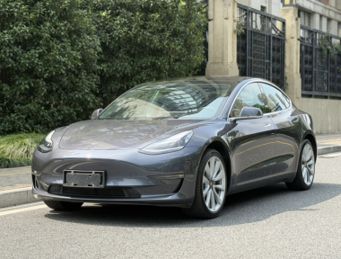 Tesla Model 3 2020 Tesla Model 3 2020 car image
