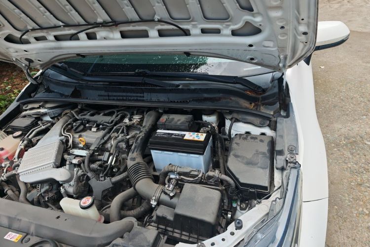 Toyota Corolla 2019 #25 Toyota Corolla 2019 car image #25