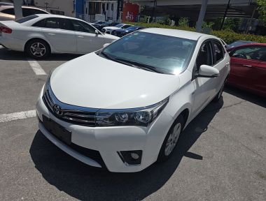 Toyota Corolla 2019 car image 