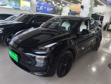 Tesla Model Y 2024 Tesla Model Y 2024 car image