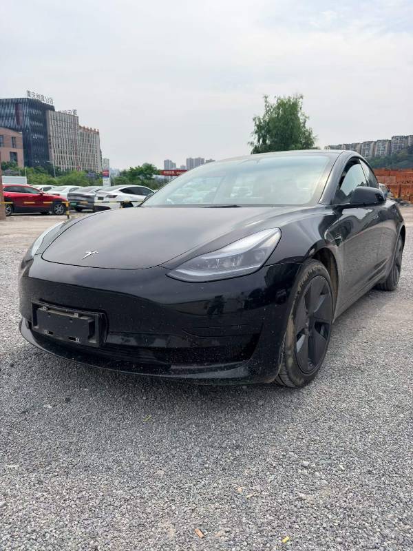 Tesla Model 3 2023 Tesla Model 3 2023 car image