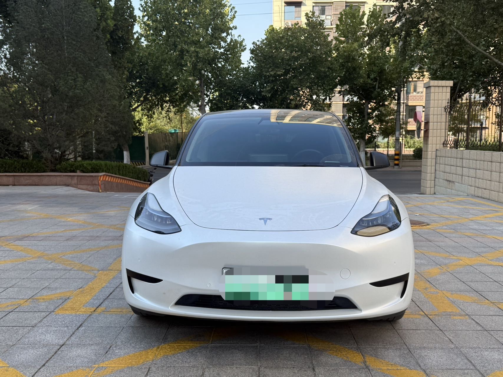 Tesla Model Y 2023 Tesla Model Y 2023 car image