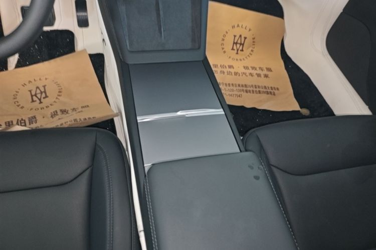 Tesla Model 3 2024 #22 Tesla Model 3 2024 car image #22
