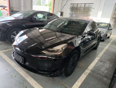Tesla Model 3 2020 Tesla Model 3 2020 car image