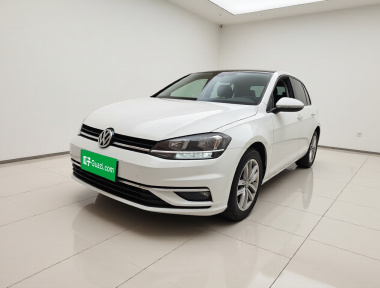 Volkswagen Golf 2019 car image 