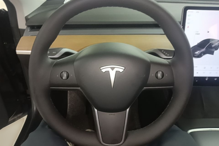 Tesla Model 3 2021 #11 Tesla Model 3 2021 car image #11