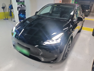 Tesla Model Y 2022 Tesla Model Y 2022 car image