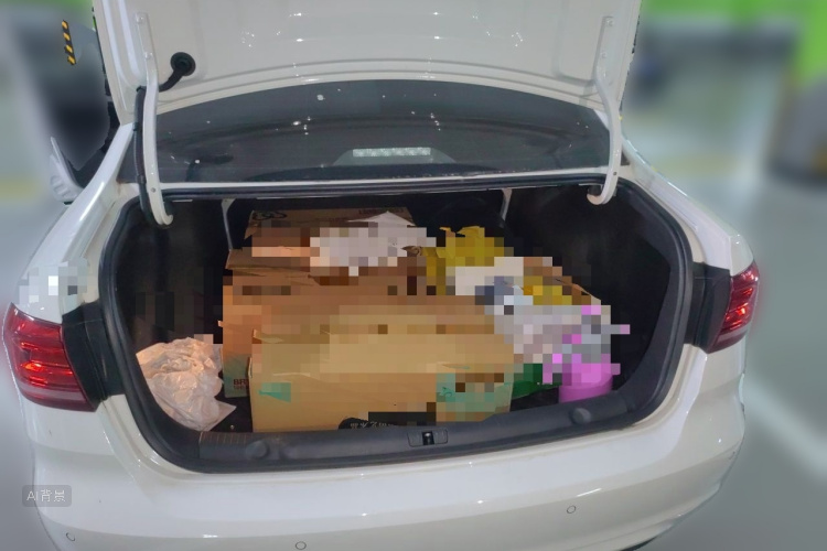 Volkswagen Lavida 2022 car image #21