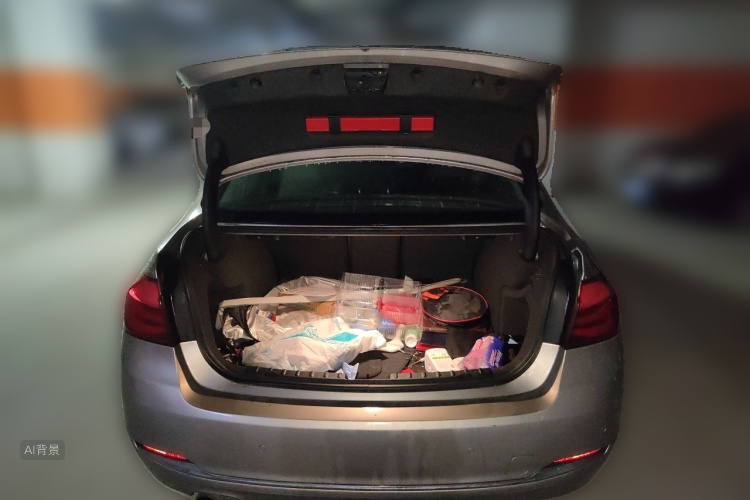 BMW 3 Series 2017 #21 BMW 3 Series 2017 car image #21