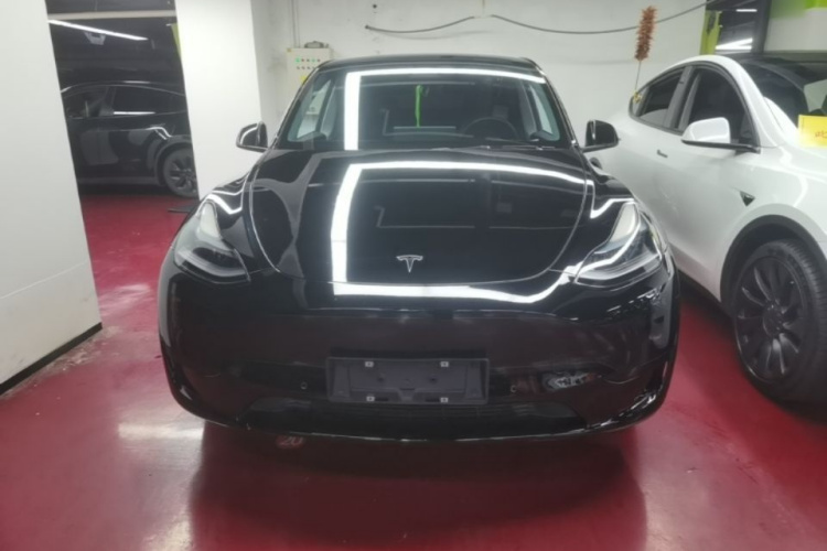 Tesla Model Y 2023 #3 Tesla Model Y 2023 car image #3