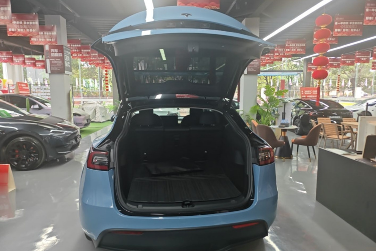 Tesla Model Y 2021 #19 Tesla Model Y 2021 car image #19