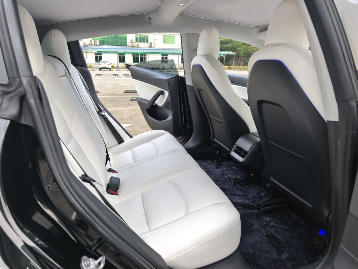 Tesla Model 3 2020 car image #8