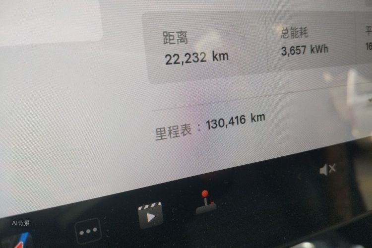 Tesla Model 3 2020 car image #14