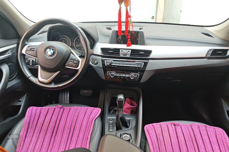 BMW X1 2017 imagen de coche #11