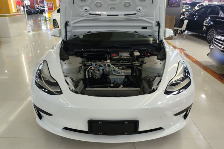 Tesla Model 3 2020 #20 Tesla Model 3 2020 car image #20