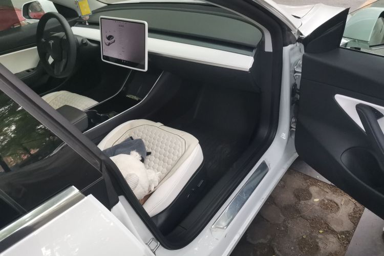 Tesla Model 3 2020 car image #27