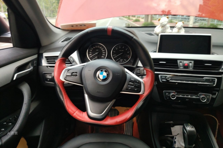 BMW X1 2016 car image #12