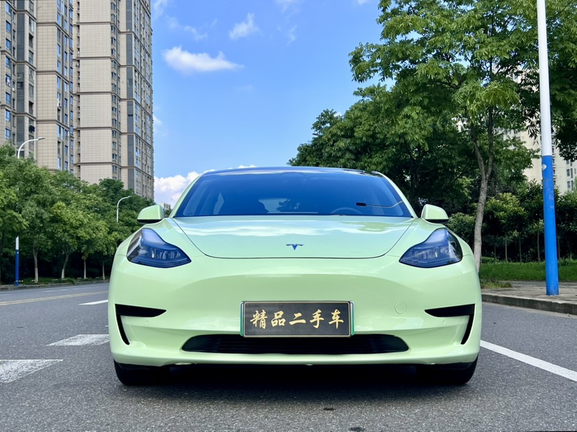Tesla Model 3 2021 immagine di auto #3