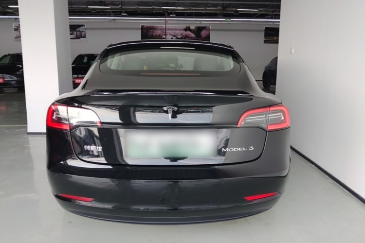 Tesla Model 3 2023 car image #6
