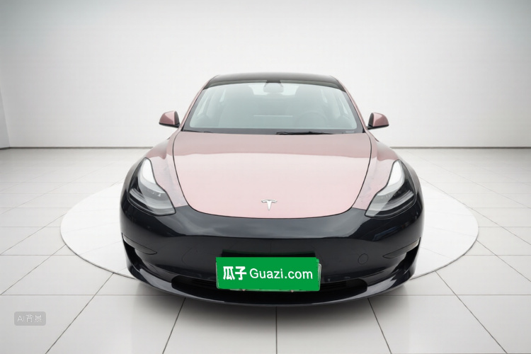 Tesla Model 3 2021 car image #3
