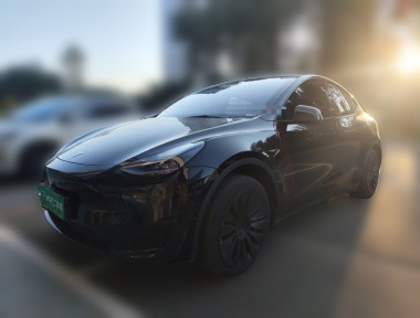 Tesla Model Y 2023 car image 